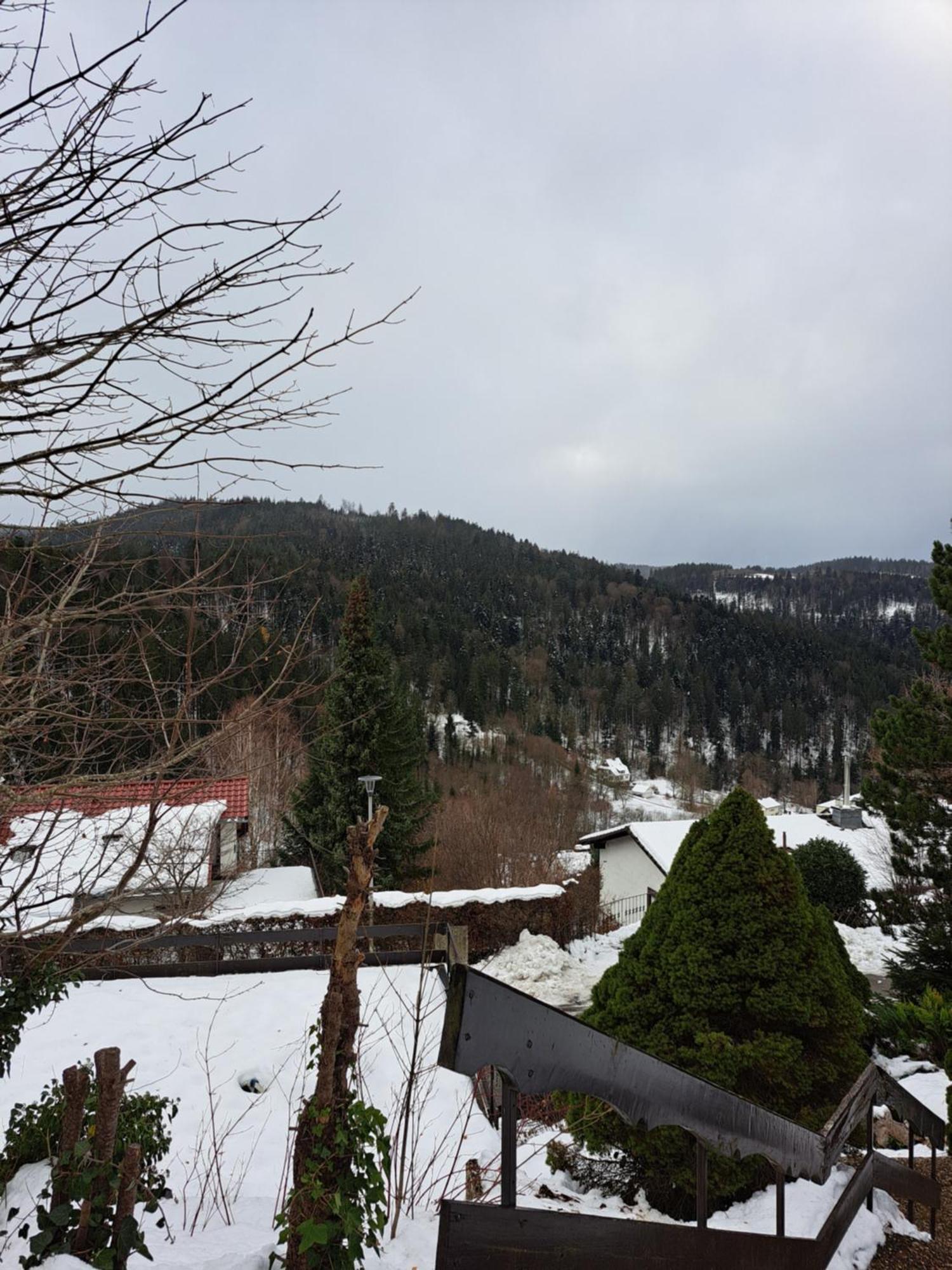 Grosse Ferienwohnung In Ruhiger Lage Mit Toller Aussicht In Triberg Triberg im Schwarzwald Exterior photo
