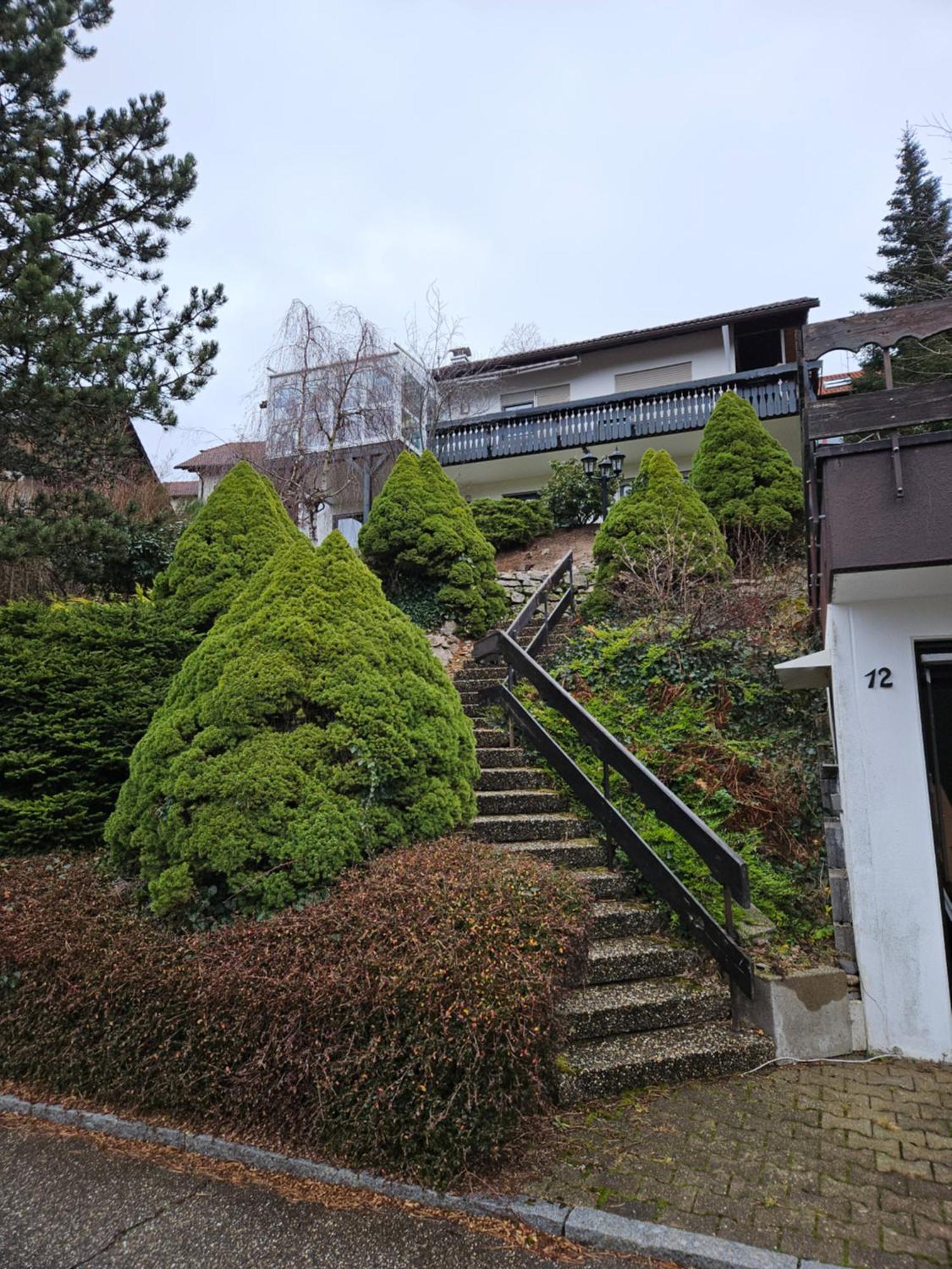Grosse Ferienwohnung In Ruhiger Lage Mit Toller Aussicht In Triberg Triberg im Schwarzwald Exterior photo