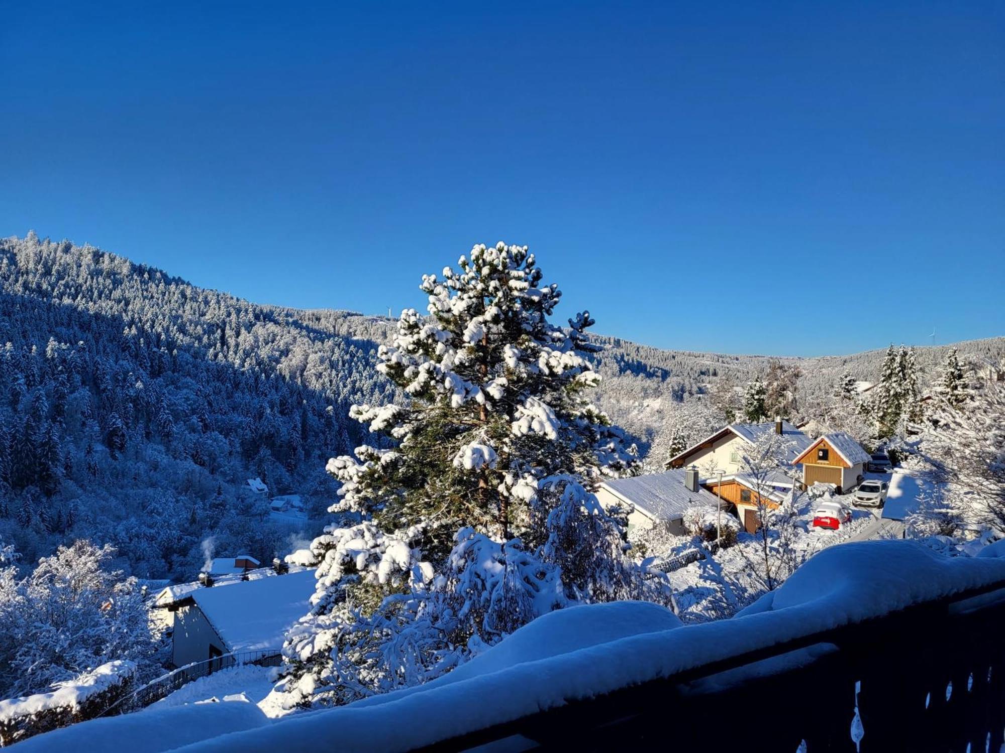 Grosse Ferienwohnung In Ruhiger Lage Mit Toller Aussicht In Triberg Triberg im Schwarzwald Exterior photo